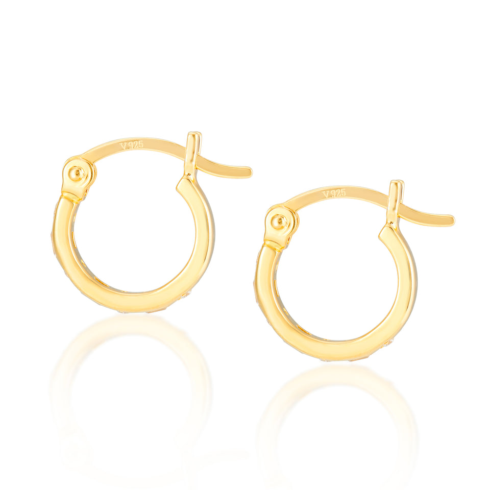 Iris Hoop Earrings + Rhombus Charms