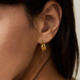 René Small Hoop Earrings