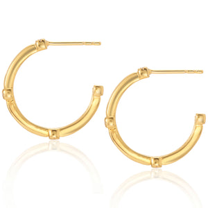 Halle Medium Hoop Earrings in Gold