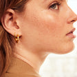 Halle Medium Hoop Earrings in Gold