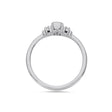 PACK: Platinum/White Gold Deco Oval Cut Solitaire Ring
