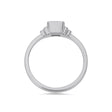 PACK: Platinum/White Gold Deco Emerald Cut Solitaire Ring
