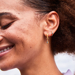 Lena Gold Hoop Earrings + Hex Charms